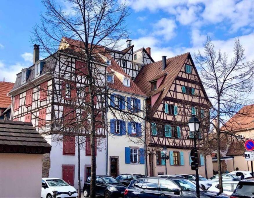 Dessine-moi Un Mouton Colmar